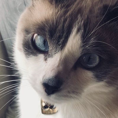 maher_alana's profile picture. In my professional opinion, computers are neat