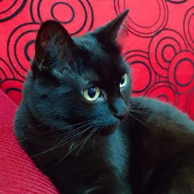 Sebastiánさんのプロフィール画像