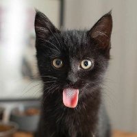 lorie Kremin (@kreminlorie) 's Twitter Profile Photo lorie Kremin (@kreminlorie) 's Twitter Profile Photo
