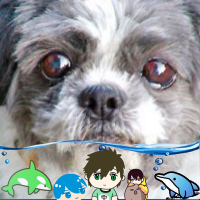 あ～る🏊‍♂️ (@redstarsclub) 's Twitter Profile Photo