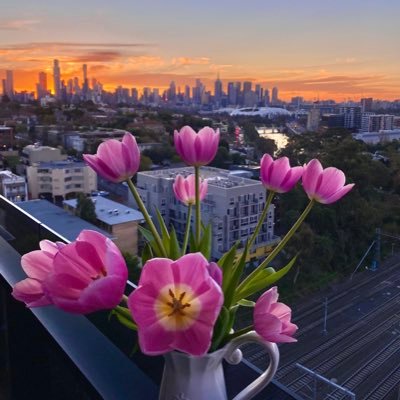 asummerholidayz's profile picture. 