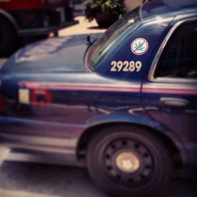 MetaverseDEA's profile picture. Stop resisting