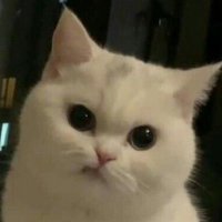 Aimzz (@aimzzus) 's Twitter Profile Photo Aimzz (@aimzzus) 's Twitter Profile Photo