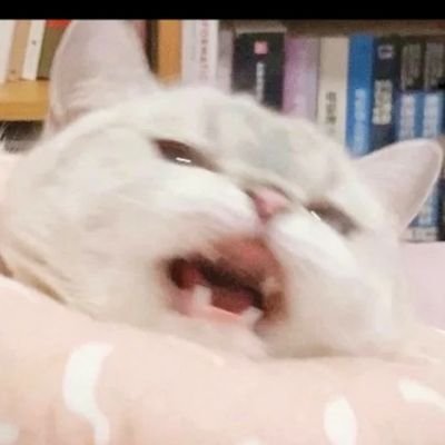 safe_pace's profile picture. Its Me 🥺
5'0 | Rant Acc