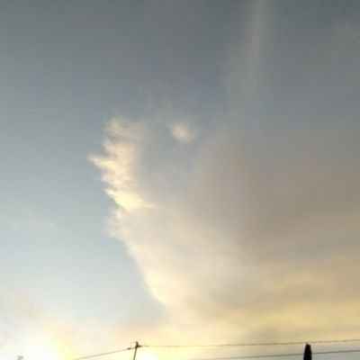 awanjendela's profile picture. 