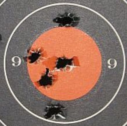 Steady_Roller's profile picture. 