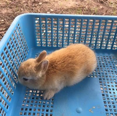 LplgaaLYtzmPsaw's profile picture. 