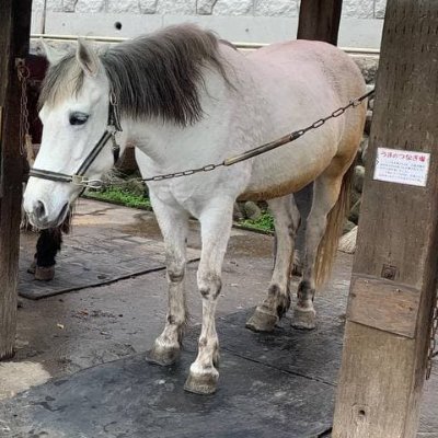 Daiya0525's profile picture. 東京/20代/プライベートとお金に関する記事をまとめていきます✍
裕福な生活を目指し、日々コツコツと資金を増やします😄