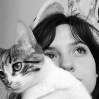 B (@b82679) 's Twitter Profile