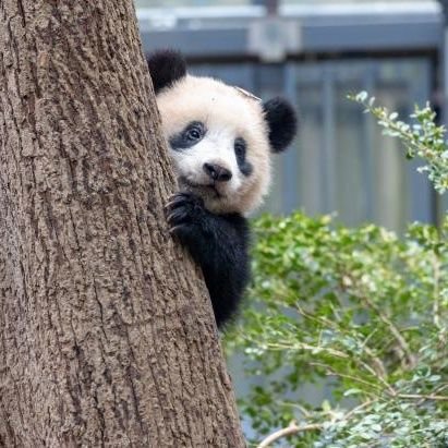 kaim_Manjinder's profile picture. GRAPHIC/WEB/PRINT/UI/UX DESIGNER.