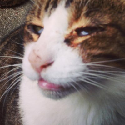 entte6's profile picture. 未来予測できるようになりたい。退場しないように慎重に投資したい。今は宇宙を意識して投資。最近はロボット関連に投資。投資信託とmgrmとmbot