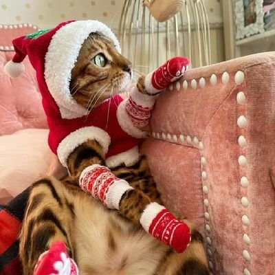 Russian55668447's profile picture. 