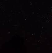 keshav5_keshav's profile picture. 