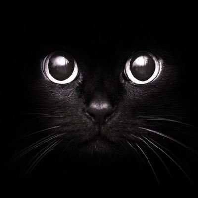 傸さんのプロフィール画像