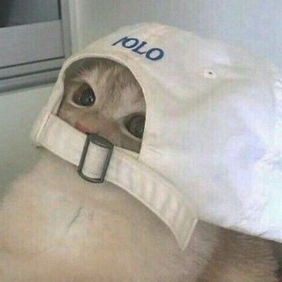 AverageDevLol's profile picture. Hey I'm Yan I do dev stuff :) 
Feel free to DM me