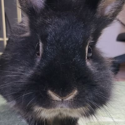 ☆𝒌𝒖𝒓𝒊𝒎𝒂𝒌𝒐☆さんのプロフィール画像