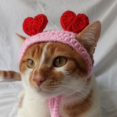 📃Yasal Sayfa 🐾 Şık ve eğlenceli kedi & köpek şapkaları 🐱🐶 Her sipariş bir kap mama 🙏🏻💙