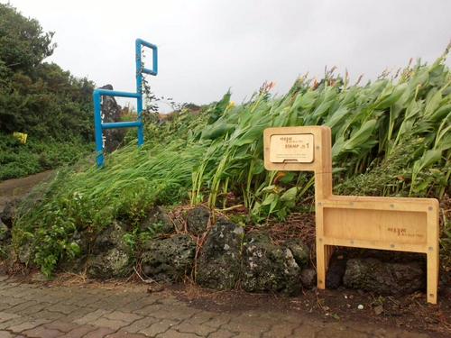 suhejin's profile picture. 봄날의 벚꽃처럼 가을날의 노란단풍처럼 찬란하게....