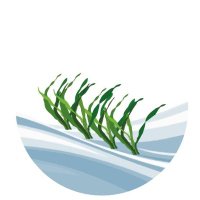 Seawheat - COST Action(@SeaWheatCOST) 's Twitter Profile Photo