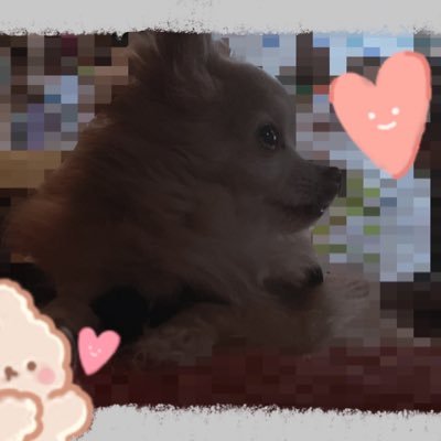 鈴さんのプロフィール画像