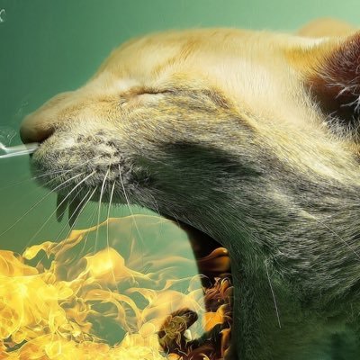 combover_t's profile picture. ♂ 大阪 40代