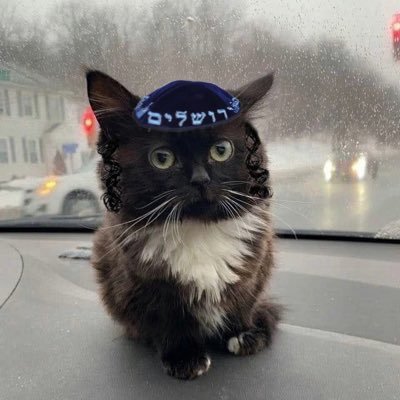 AaronAllin's profile picture.