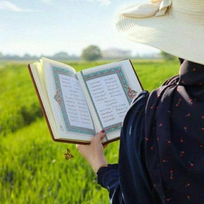 babalengderaz31's profile picture. فالو=فالوبک