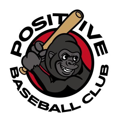 est.2022小学生軟式野球クラブ!『ベストコーチングアワード2022・2024』最高評賞トリプルスター⭐︎⭐︎⭐︎獲得! 設立2年目に阪神甲子園球場で試合!週末1/4!全員出場!バネ投げカリキュラム導入!野球人口増加に貢献できる様に活動中!スポンサーは株式会社バサラホーム様