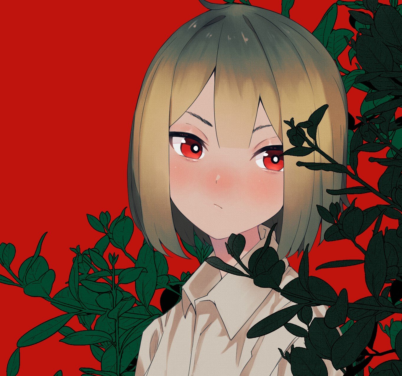 三ャ丹さんのプロフィール画像