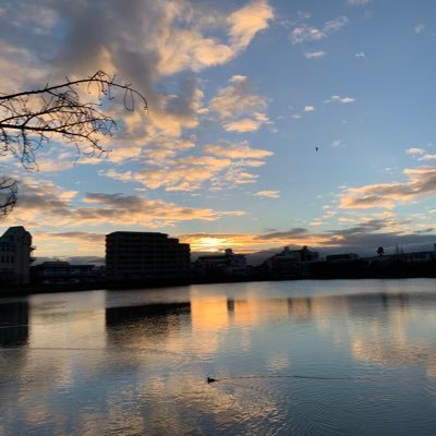 🌿自然🔆✨お日様を心から愛し瞑想が習慣の感覚派🍃幻の風です。日本を愛する神道⛩争いは好みません。楽しいことや音楽はジャンルを問わず好き♪今を大切にドキドキワクワクしていたい♪2021クンダリーニ覚醒しました。遠隔による氣の送受信可。私が見たもの感じたものを呟きます☺️もう一人の私→@ULEJ0BiQqEMe6AZ