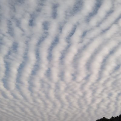 qdelta_isake2's profile picture. 純情息子。くるりへの愛を叫んだり、叫ばなかったり。
配信などには「あいさけ」の名で登場します。
#quruli  #くるり #純情息子