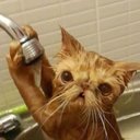 Miya Hall - @MiyaHall10 - Twitter