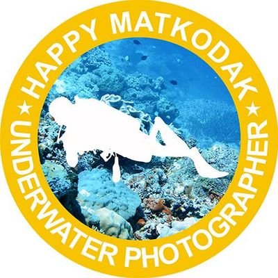 NFT Creator, 
Underwater Photographer, 
Founder of Friday Underwater Community Indonesia
IG @happymatkodak @underwaterprojectgallery