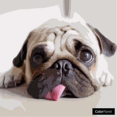 martha_holscher's profile picture. 