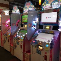 こーどどどーん (@codddone) 's Twitter Profile