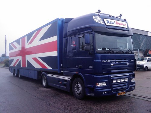 rewiflowers's profile picture. Export in fresh flowers to the United Kingdom, deliveries twice a week to florists only.