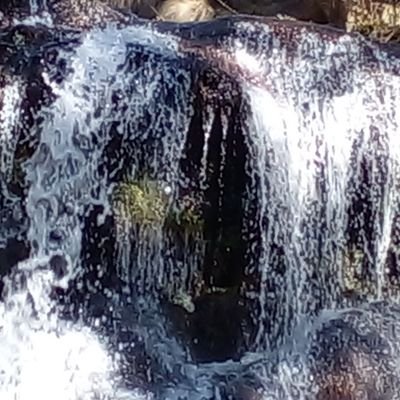 WilliamMath1's profile picture. 