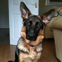 Michael Neave - @Sloppybandit - Twitter