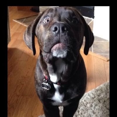 giammarcocathe1's profile picture. Freedom of speech.... Feel what you see.. speak what you see...