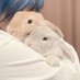 しらきな@のん (@utino_mofs) Twitter profile photo しらきな@のん (@utino_mofs) Twitter profile photo