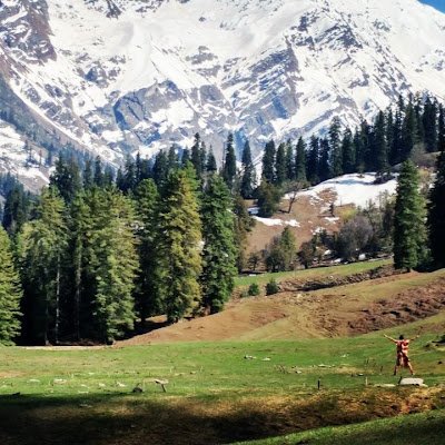 SururVahdati's profile picture. 