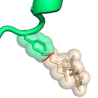 Caillan Crowe-McAuliffe (@caillancm) 's Twitter Profile