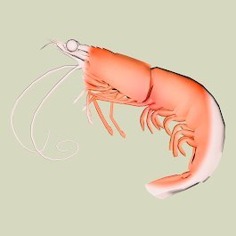 YNWA for LFC fans but also #Avax community. Huge $CRA #Crabada supporter