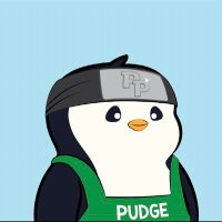 N (@0xncrypto) 's Twitter Profile