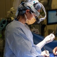 Madonna Lee, MD (@madonnaleemd) 's Twitter Profile