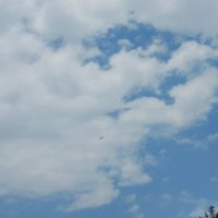 ناديه (@i_nadia06) Twitter profile photo