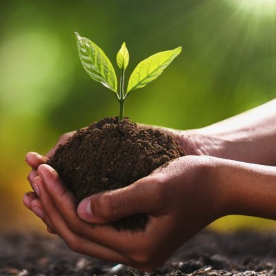 ndonthy's profile picture. 🧘‍♀️Volunteering for Conscious Planet #SaveSoil
🌱Earth Buddy
🌄Save soil before it's too late!
🌍Let's create a conscious planet