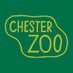 @chesterzoo