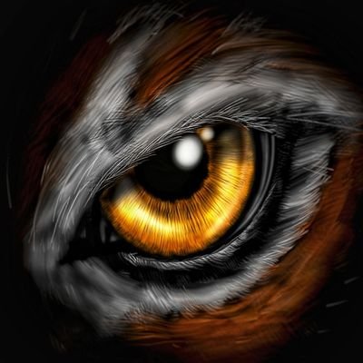 NFT Artist | Creator of Eyeceptionn