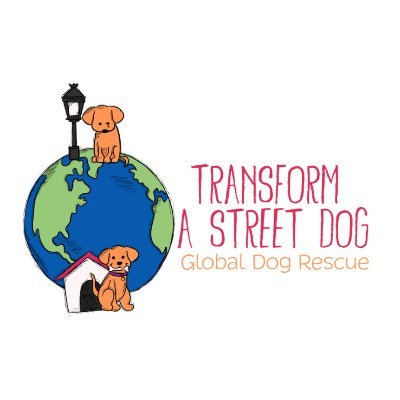 Transform A Street Dog